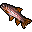 rainbow_trout.png